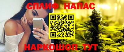 сатива Пугачёв